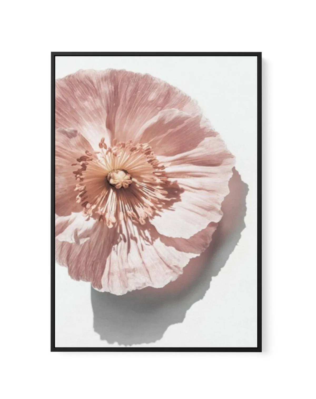 Abstract Poppies III | Framed Canvas