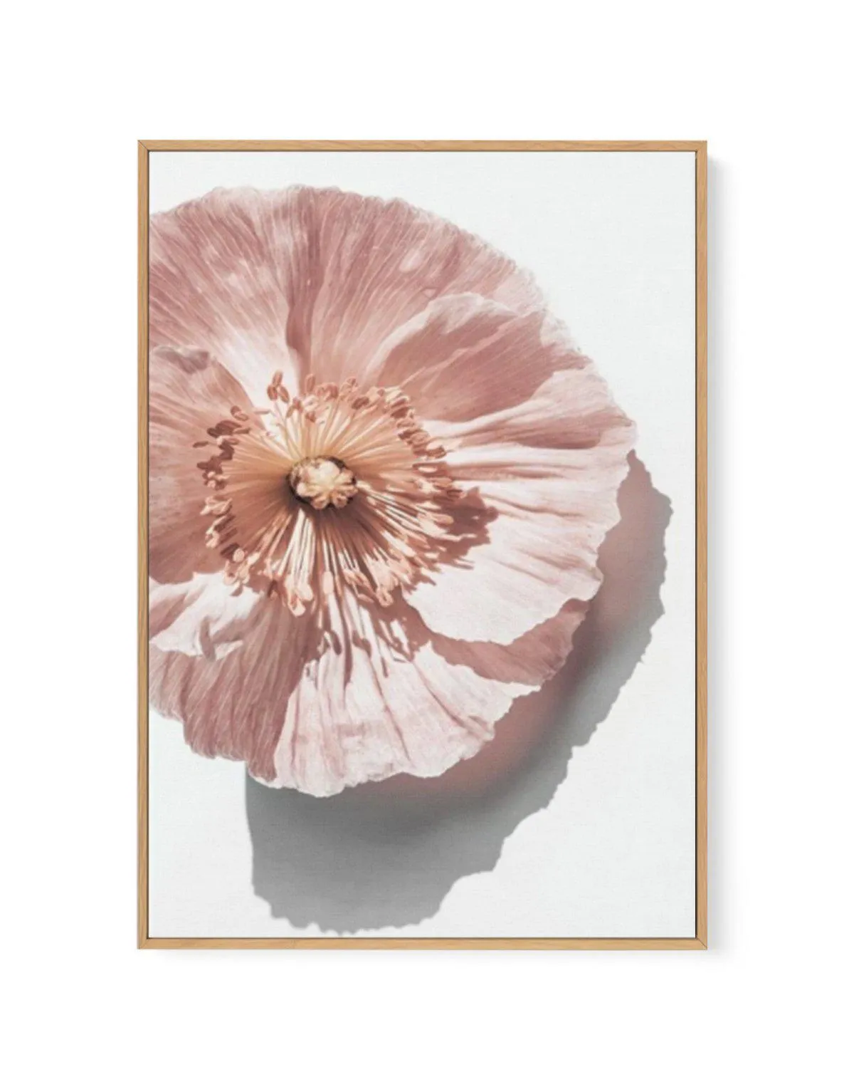 Abstract Poppies III | Framed Canvas