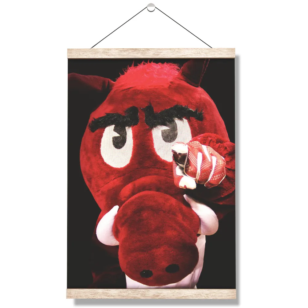 Arkansas Razorbacks - Big Red wants you!