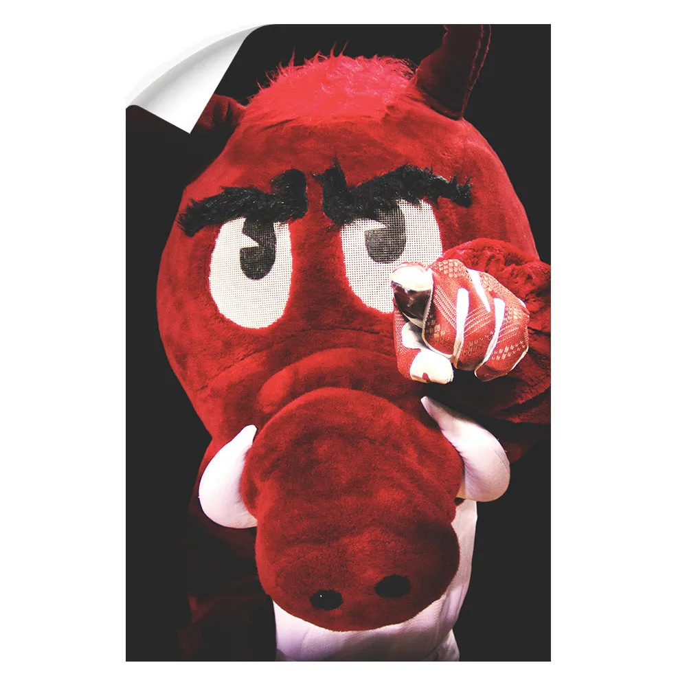 Arkansas Razorbacks - Big Red wants you!