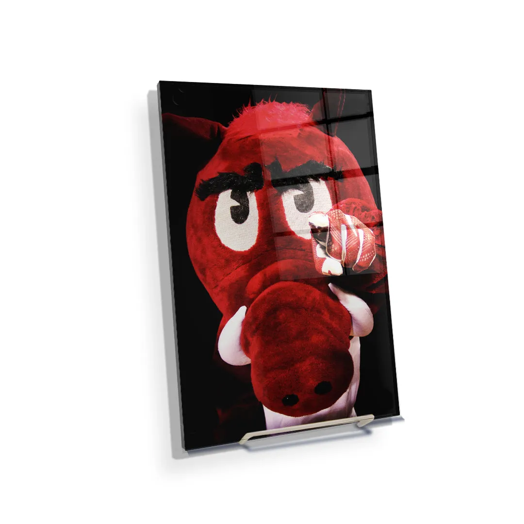 Arkansas Razorbacks - Big Red wants you!