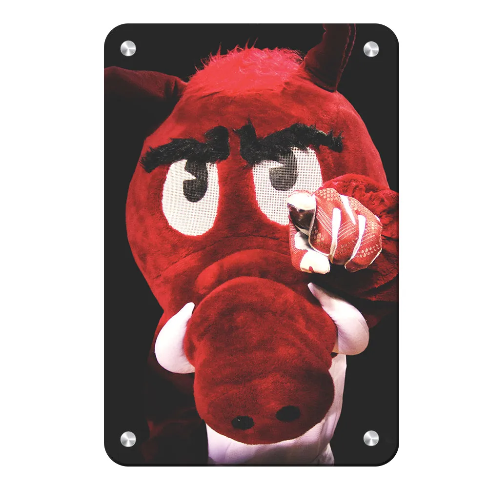 Arkansas Razorbacks - Big Red wants you!