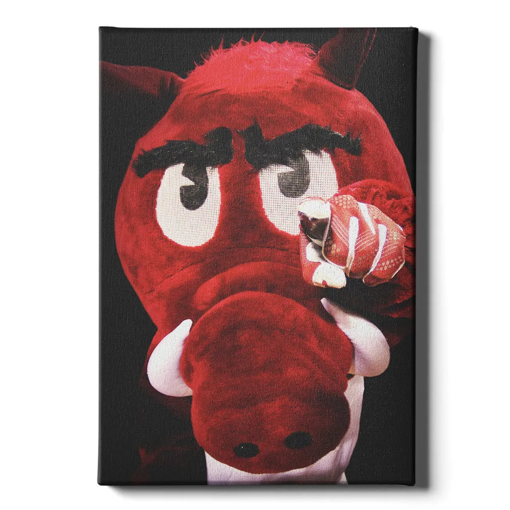 Arkansas Razorbacks - Big Red wants you!