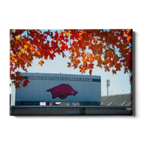 Arkansas Razorbacks - Donald W. Reynolds Razorback Stadium