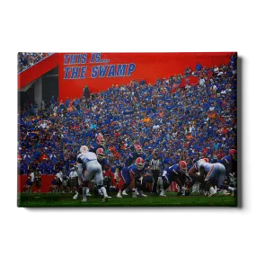 Florida Gators - In the Swamp