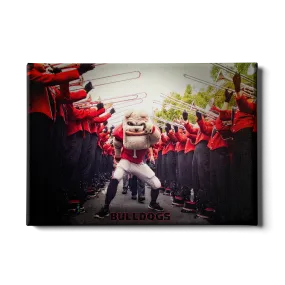 Georgia Bulldogs - Dawg Walk