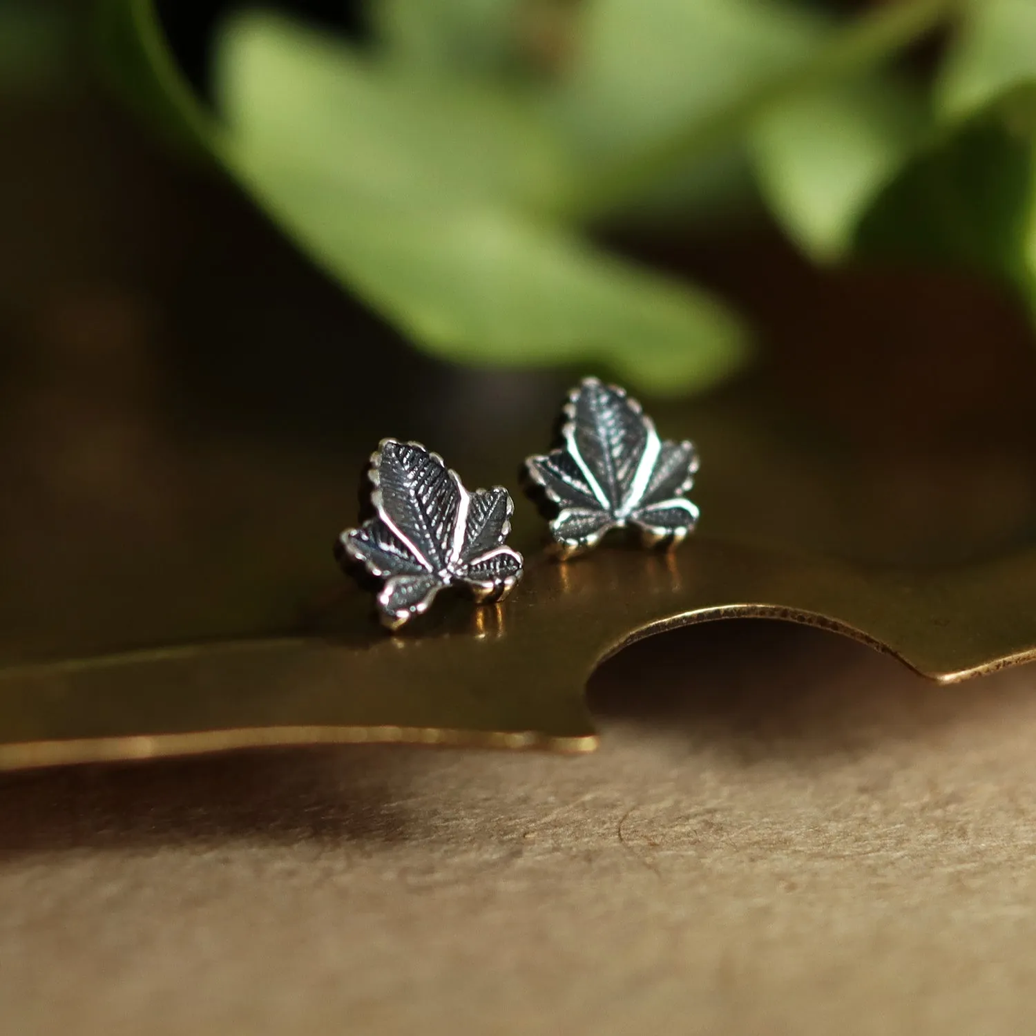 Hedera Ivy Mini Studs