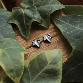 Hedera Ivy Mini Studs