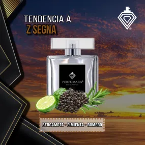 Tendencia a CZ zegna